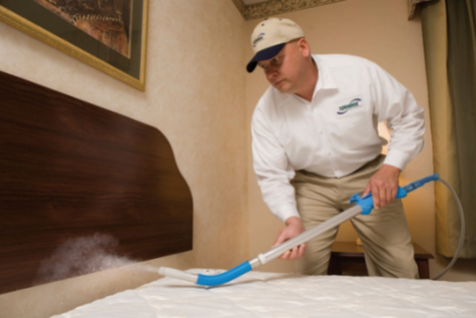 bed-bugs-pest-control-service-500x500